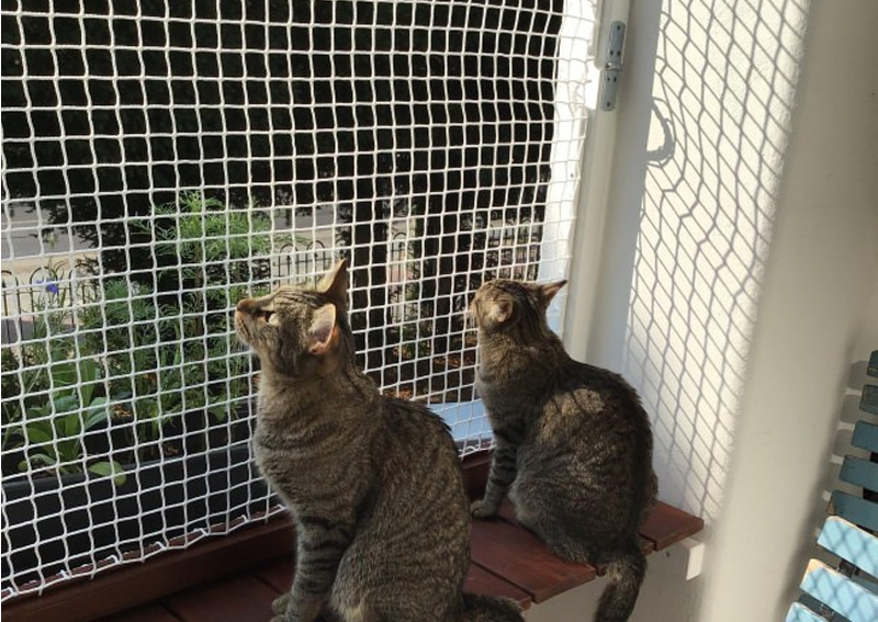 Monkey Safety Nets for Balconies in Bangalore