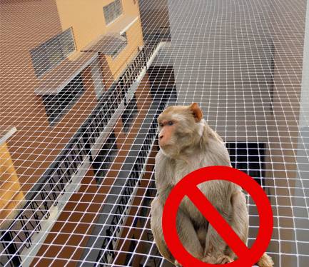 Monkey Safety Nets for Balconies in Bangalore